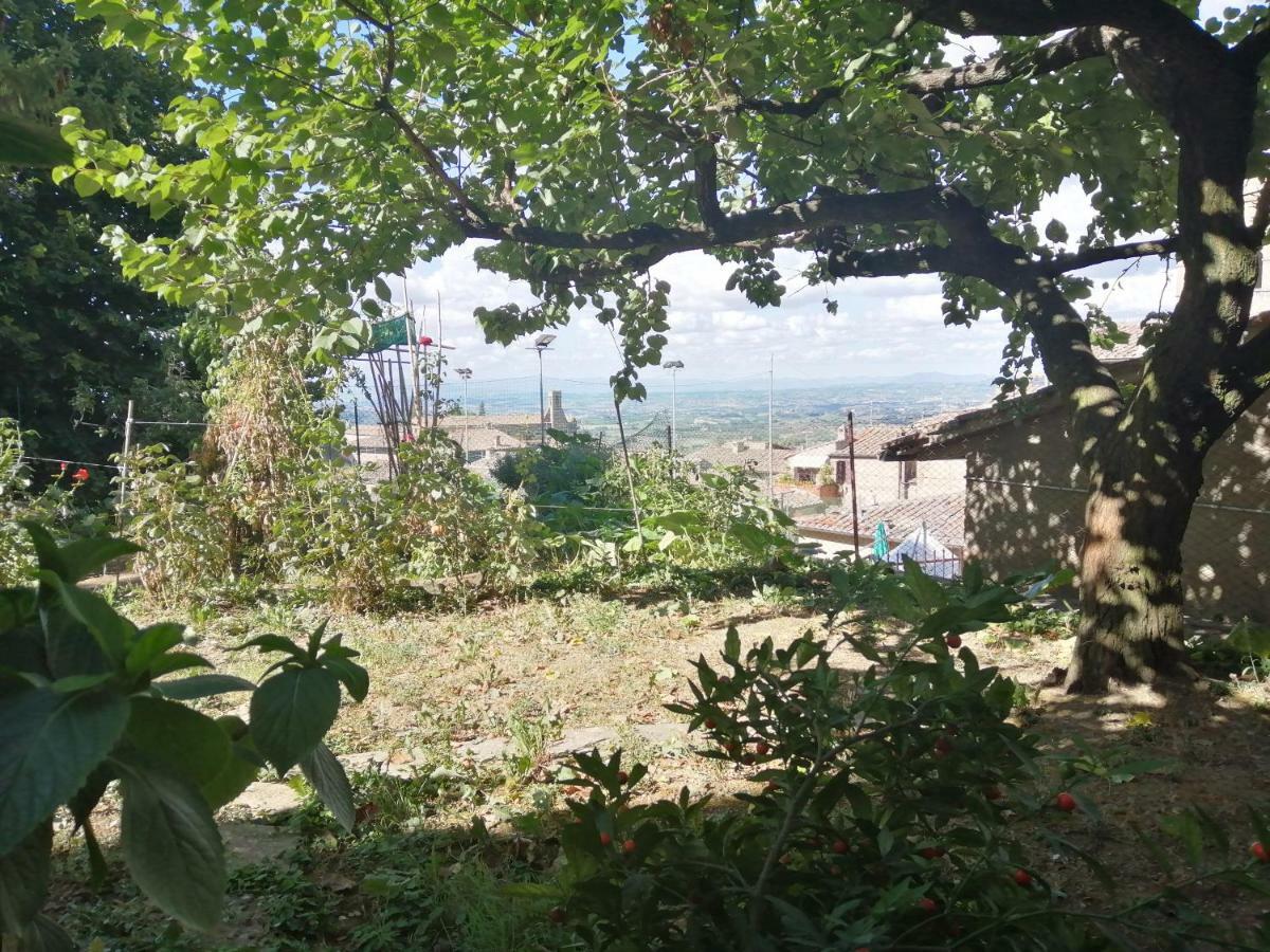 Apartamento Orto Di Emma San Gimignano Exterior foto