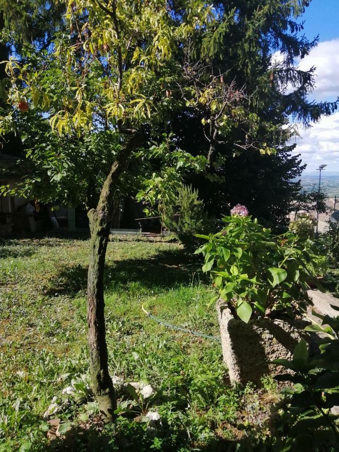 Apartamento Orto Di Emma San Gimignano Exterior foto